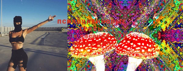 трава Пересвет